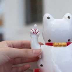 Chat Chinois Doigt D'Honneur 8 Chat Chinois Doigt D'Honneur -Univers Chinois chat chinois doigt d honneur 33694927552674