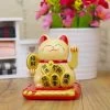 Chat Chinois Solaire -Univers Chinois chat chinois solaire 33694713184418